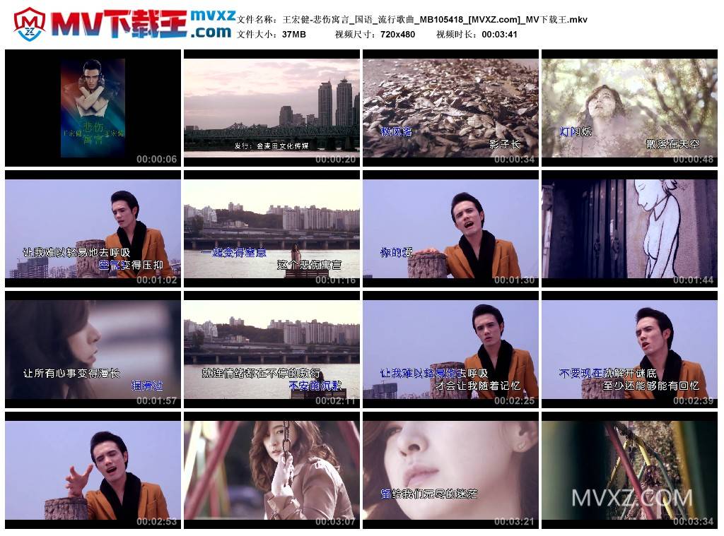 王宏健-悲伤寓言_国语_流行歌曲_MB105418
